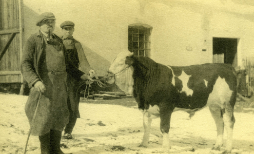 Brtnice, Panský dvůr - život na dvoře